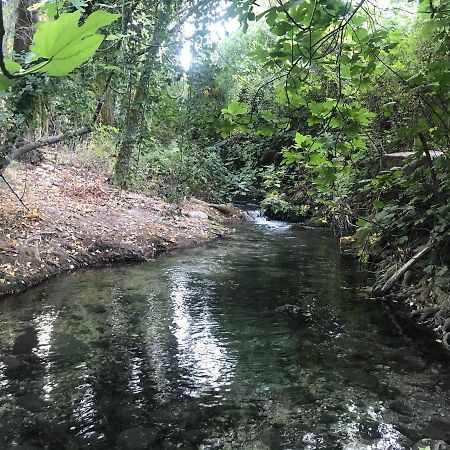 Bosque Alto Villa El Bosque Luaran gambar